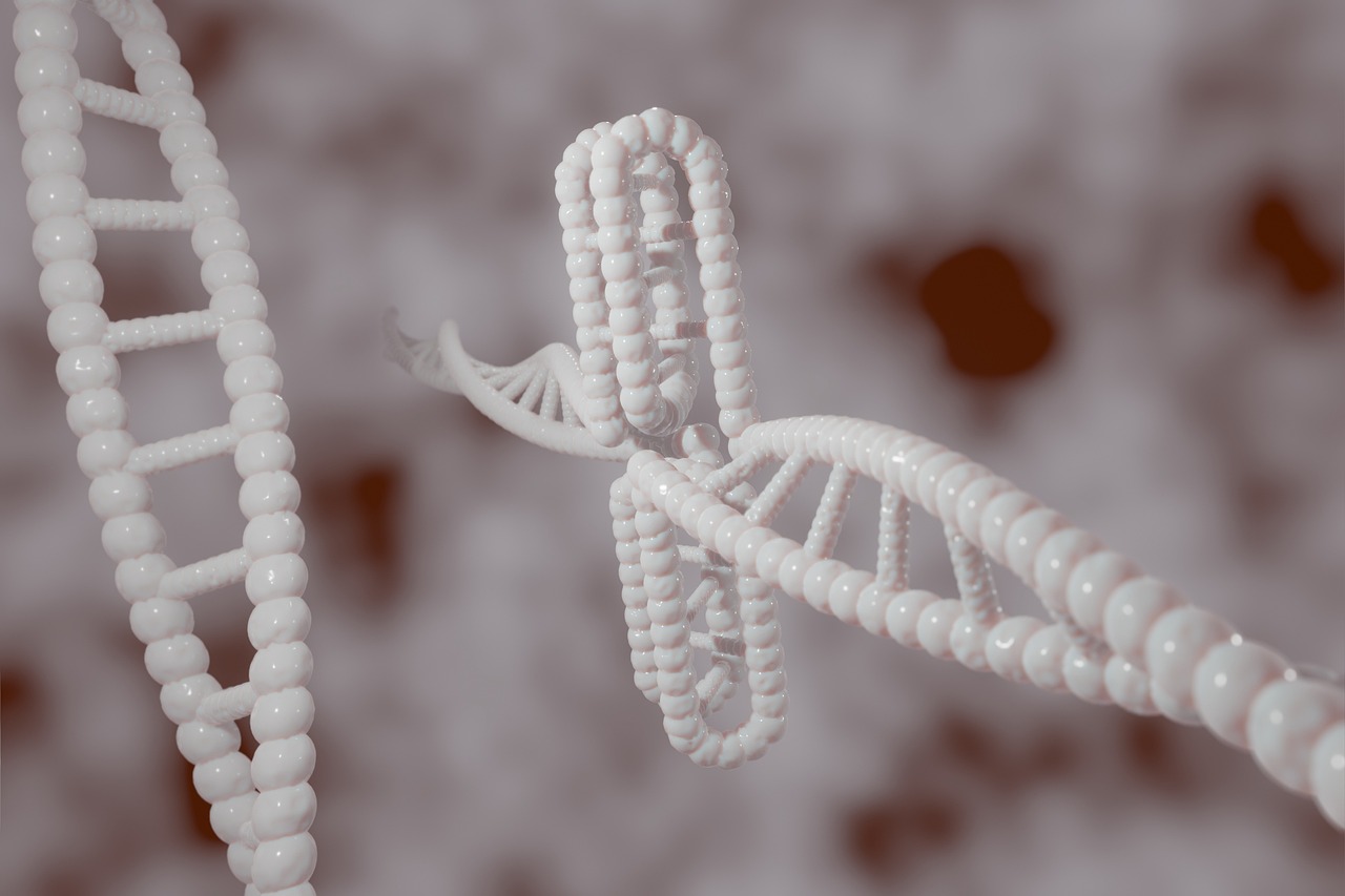 Philosophy of Science in Genetics – An Overview